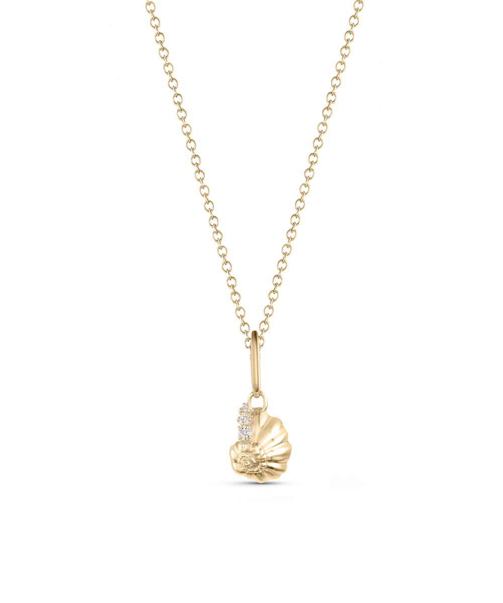 Ariel Shell Attachment