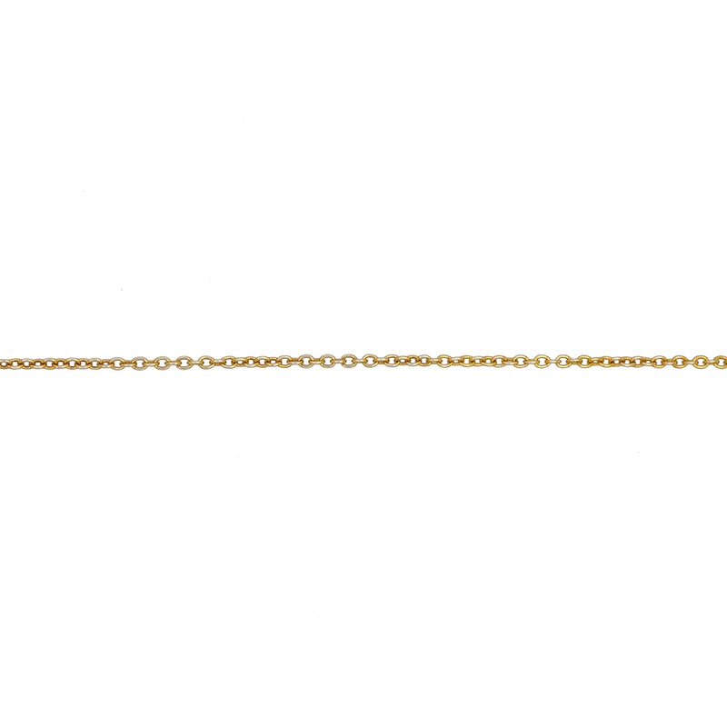 Linked for Life Petite Chain Anklet