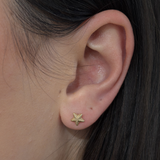 Petite Starfish Studs