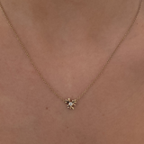 Isola Coral Necklace