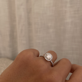 Round Diamond Halo Ring with Diamond Band - Platinum classajewellers