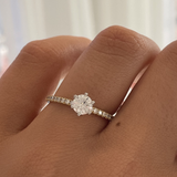 Round Two Tone 0.50ct Solitaire with Diamond Band