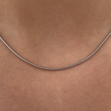 Snake Chain Necklace with Parrot Clasp