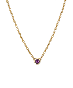 Birthstone Necklace