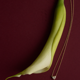 Bezel Heart Diamond Necklace