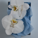 Melora Baroque Pearl Earrings