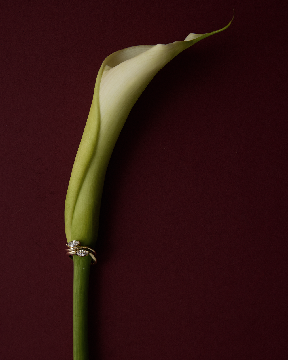 Astra Marquise Pinky Ring - Ready in 7 Days