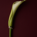 Astra Marquise Pinky Ring - Ready in 7 Days