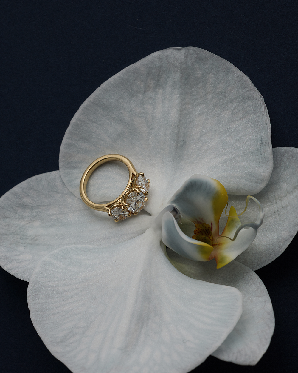 Stella 2.01ct Oval Diamond Trilogy Ring