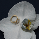 Stella 2.01ct Oval Diamond Trilogy Ring