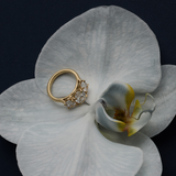 Stella 2.01ct Oval Diamond Trilogy Ring