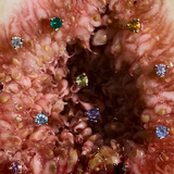 Petite Birthstone Studs classajewellers