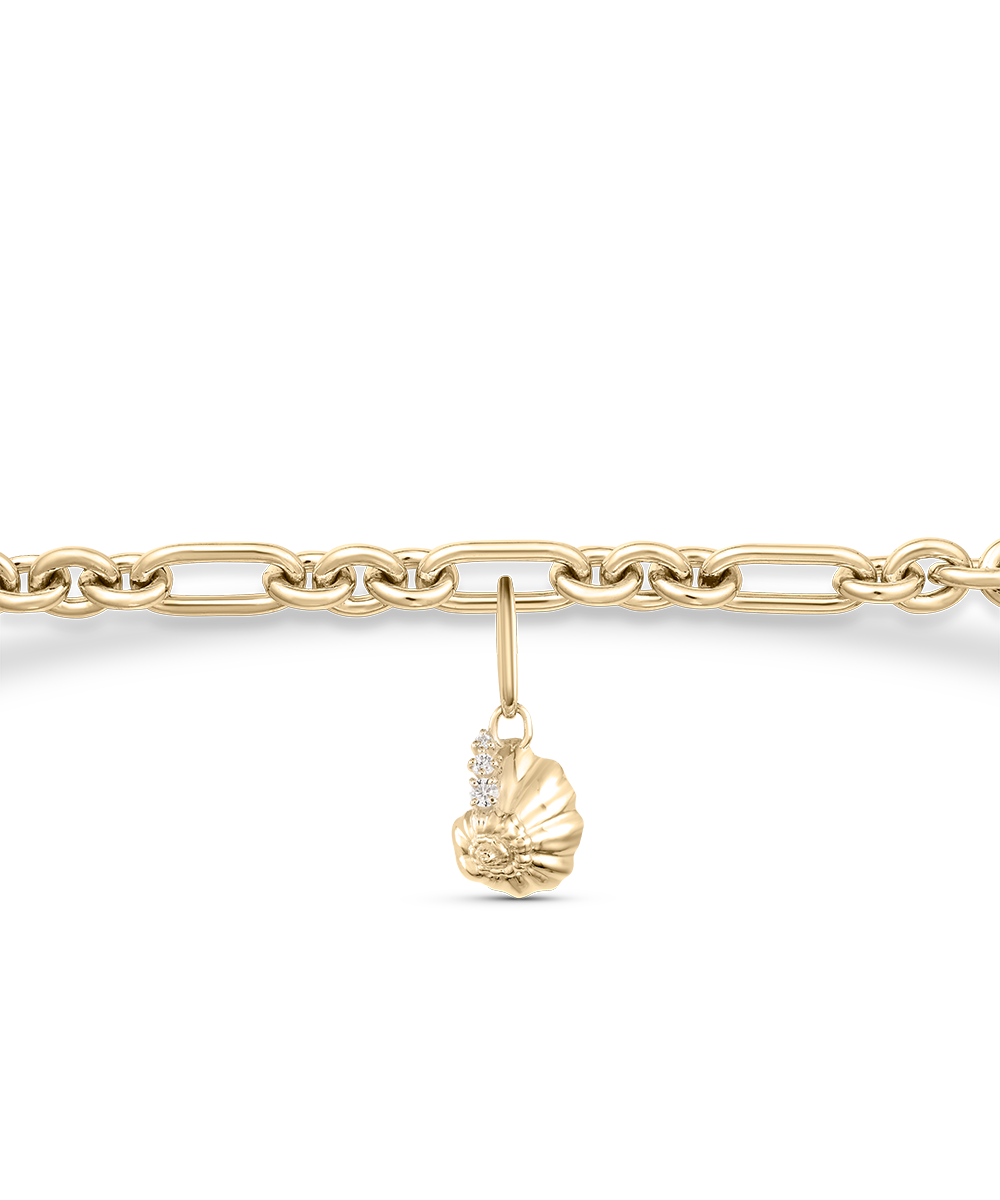 Ariel Shell Attachment