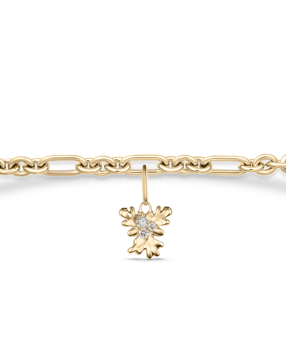 Isola Coral Attachment