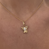 Isola Coral Attachment