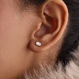 Oval Diamond Earrings - Claw
