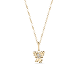 Isola Coral Attachment