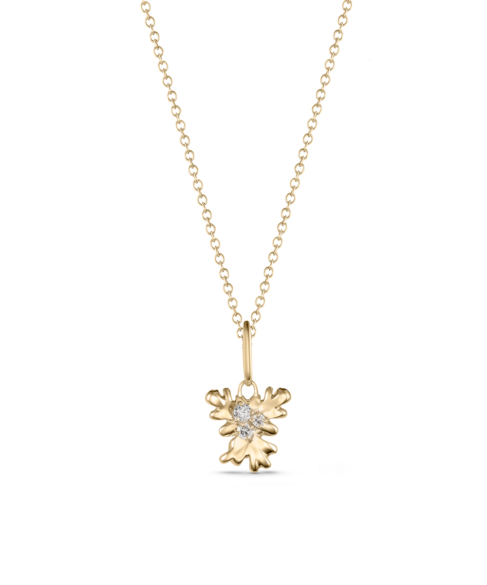 Isola Coral Attachment