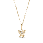 Isola Coral Attachment