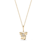 Isola Coral Attachment