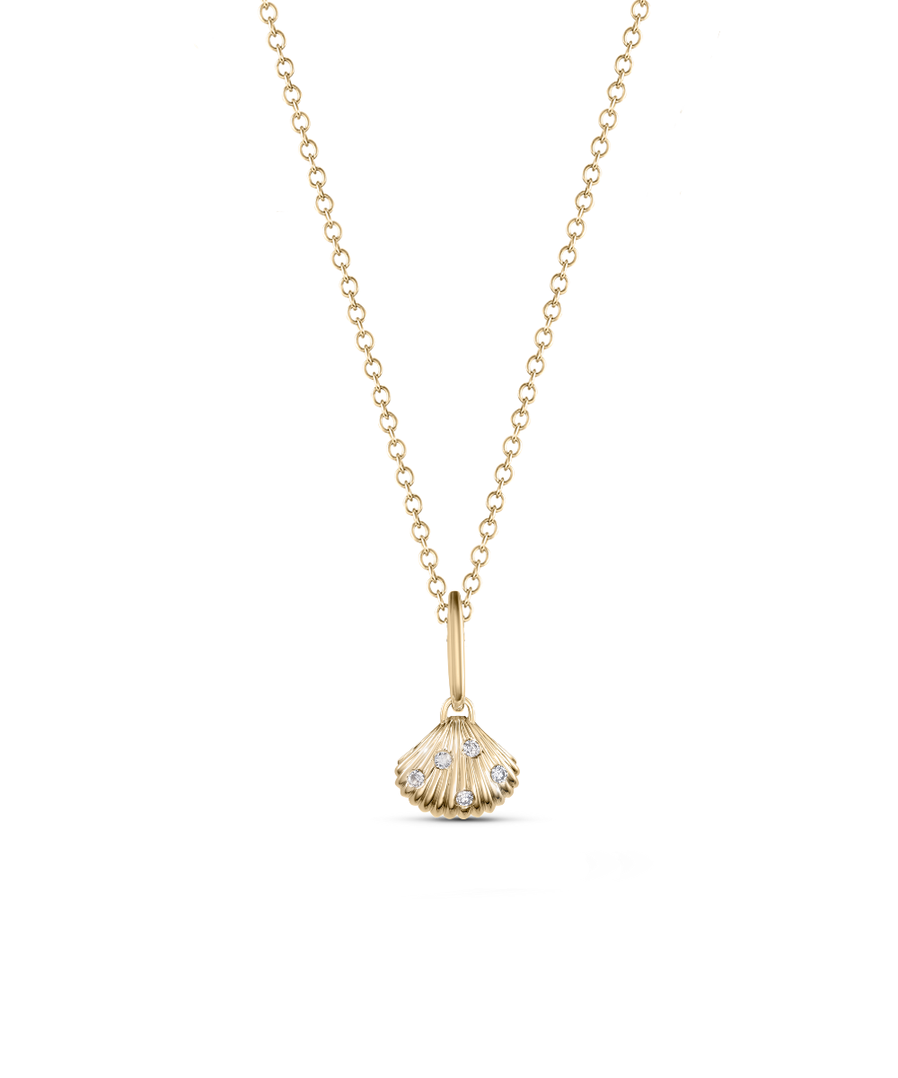 Venus Shell Attachment