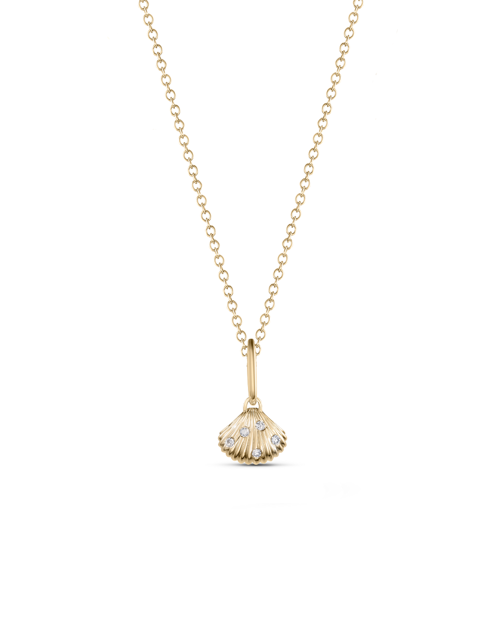 Venus Shell Attachment
