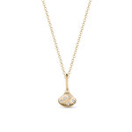 Venus Shell Attachment