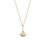 Venus Shell Attachment