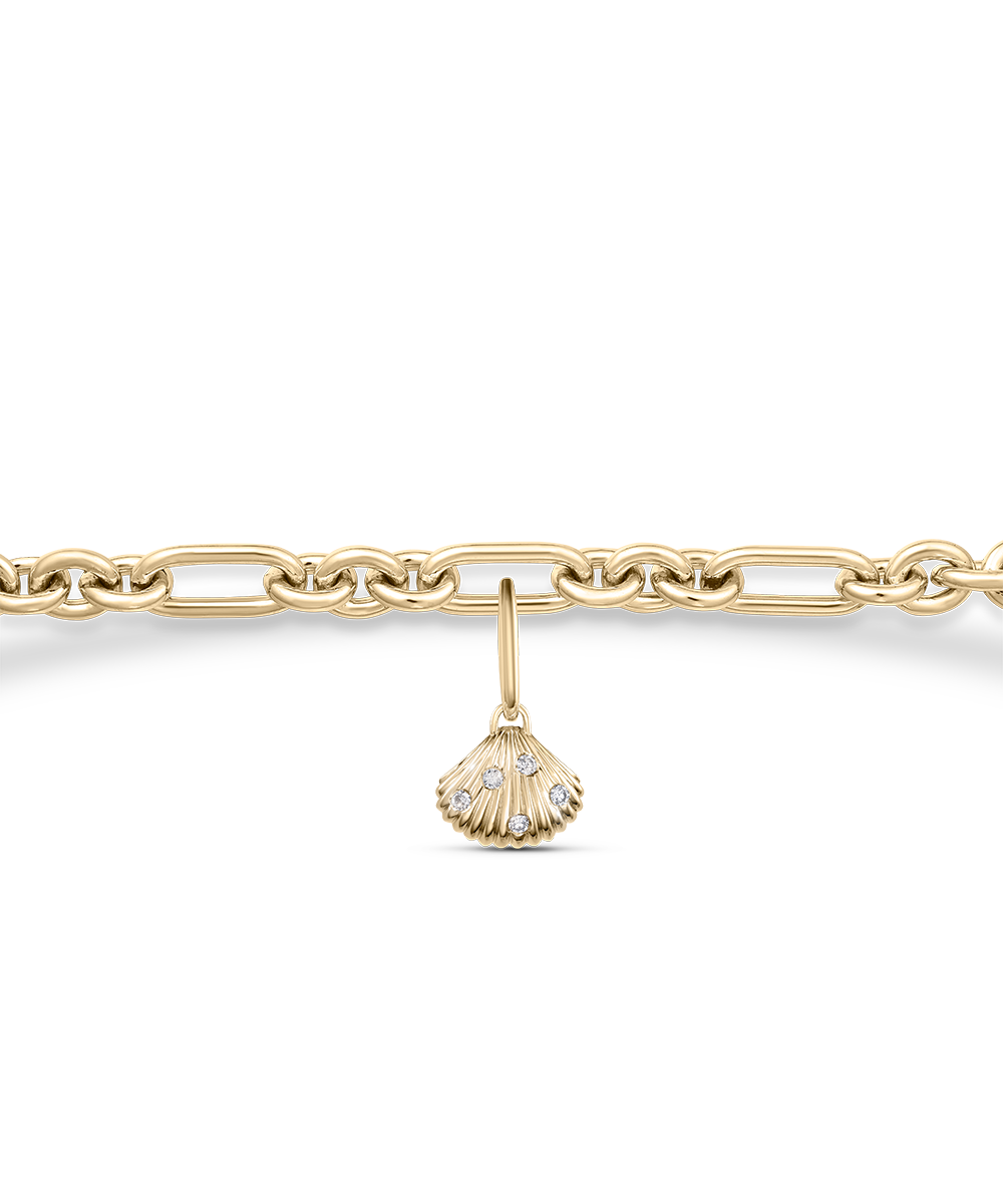 Venus Shell Attachment