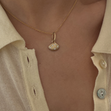 Venus Shell Attachment