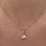 Venus Shell Attachment